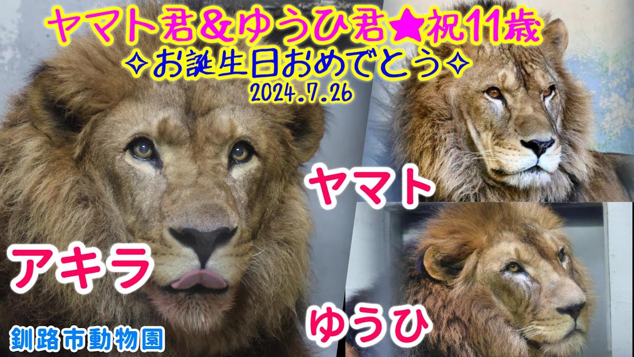 2024年 北海道ZOO遠征⑨釧路市動物園】2024.5.18-19 ライラ一族の