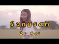 Zo boi   sungsah official music  zotung love song  chin music 