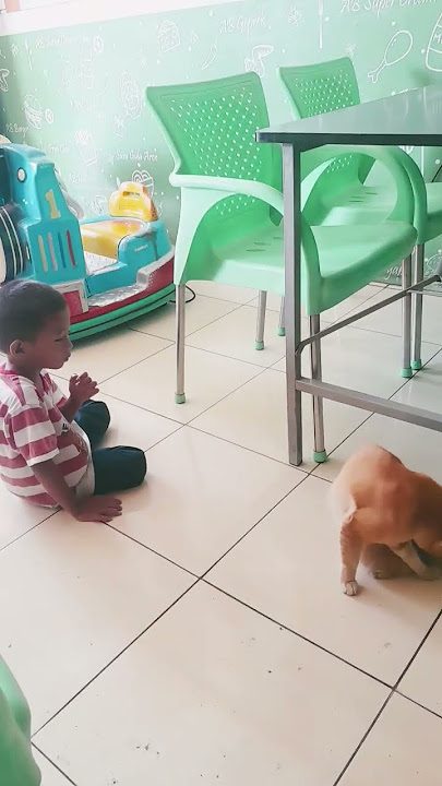 keakraban bocil sm meong