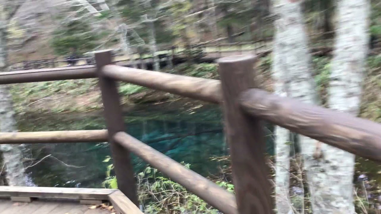 秋の神の子池 北海道東部 摩周湖周辺にある神秘の青い池 Youtube