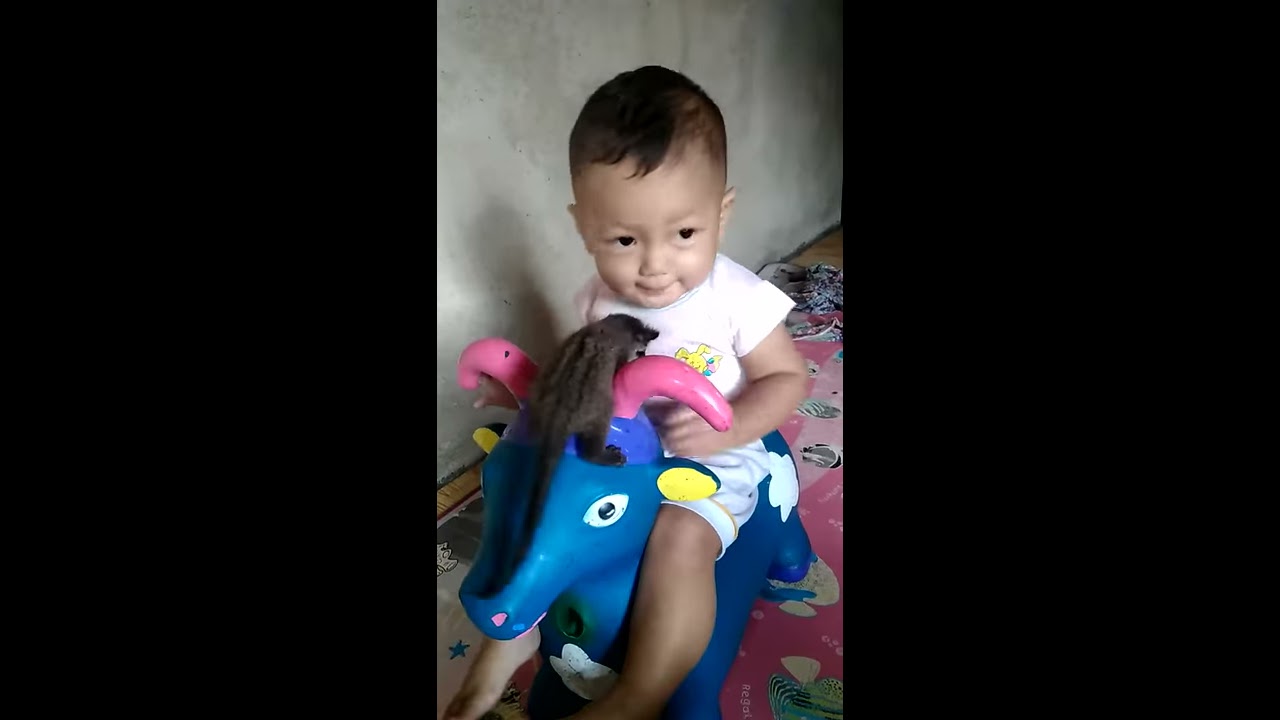 Anak ganteng sama anak musang - YouTube