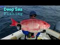 Solo Atlantic Deep Sea Fishing Catch and Cook ,Crooked PilotHouse Boat Red Snapper season