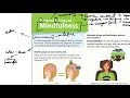 IB N25 TZ1 English Lang Lit P1: Fact Sheet Distracted Driving and Mindfulness HL/SL