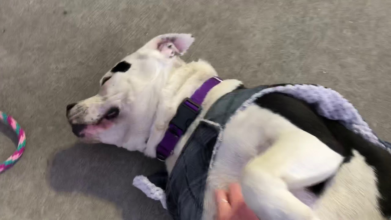camera iphone 8 plus apk Jupiter 52854 | A gal who’s out of this world 🌎 NYCACC