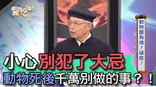 【精華版】小心別犯了大忌 動物死後千萬別做的事