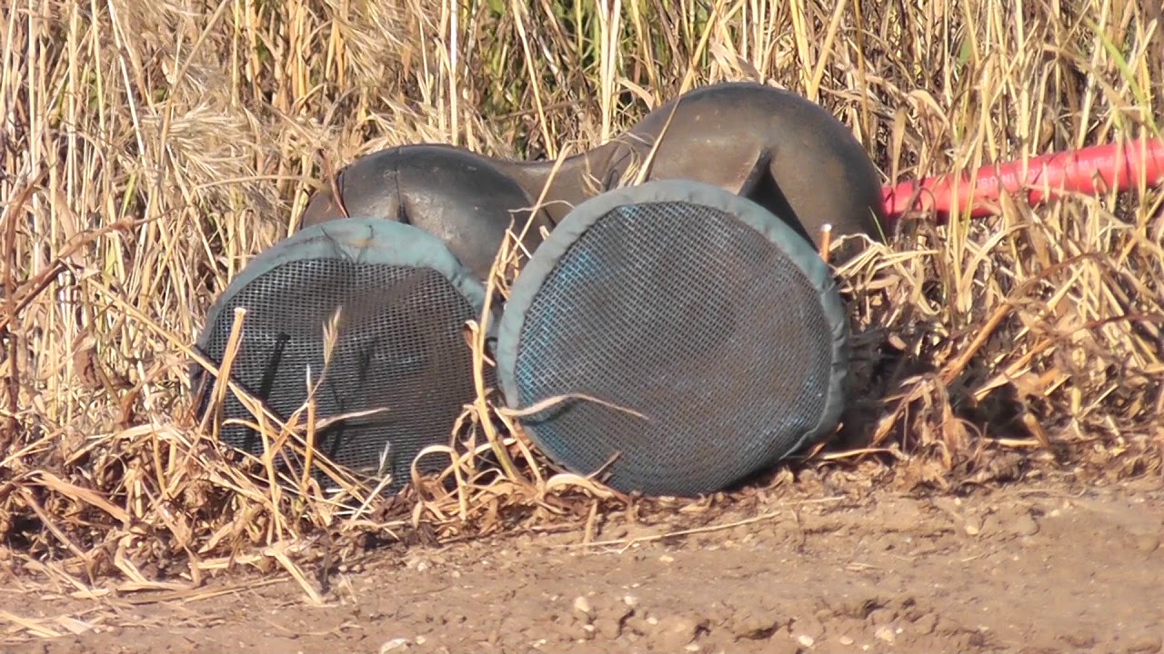 Wabco AA-2 Horn Blast