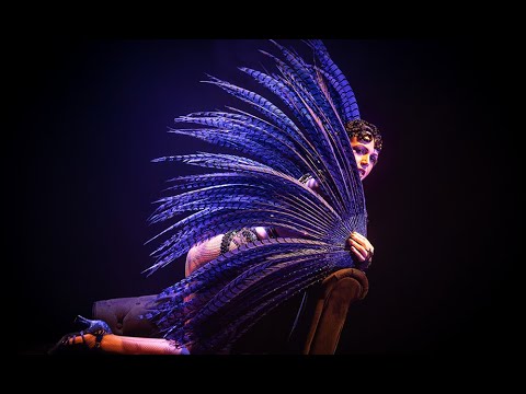 LE KRISMASS SHOW - Nouvelle formule 2024 du spectacle de Noël à Strasbourg - du 6 au 22 décembre !
