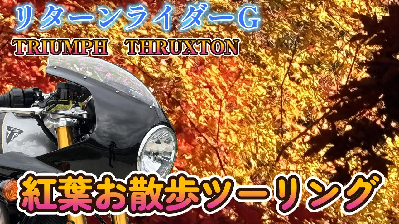 NO237 Autumn Leaves Walking Tour [Minoh Falls] - YouTube