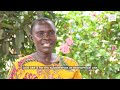 Anne Nabwire Success Story