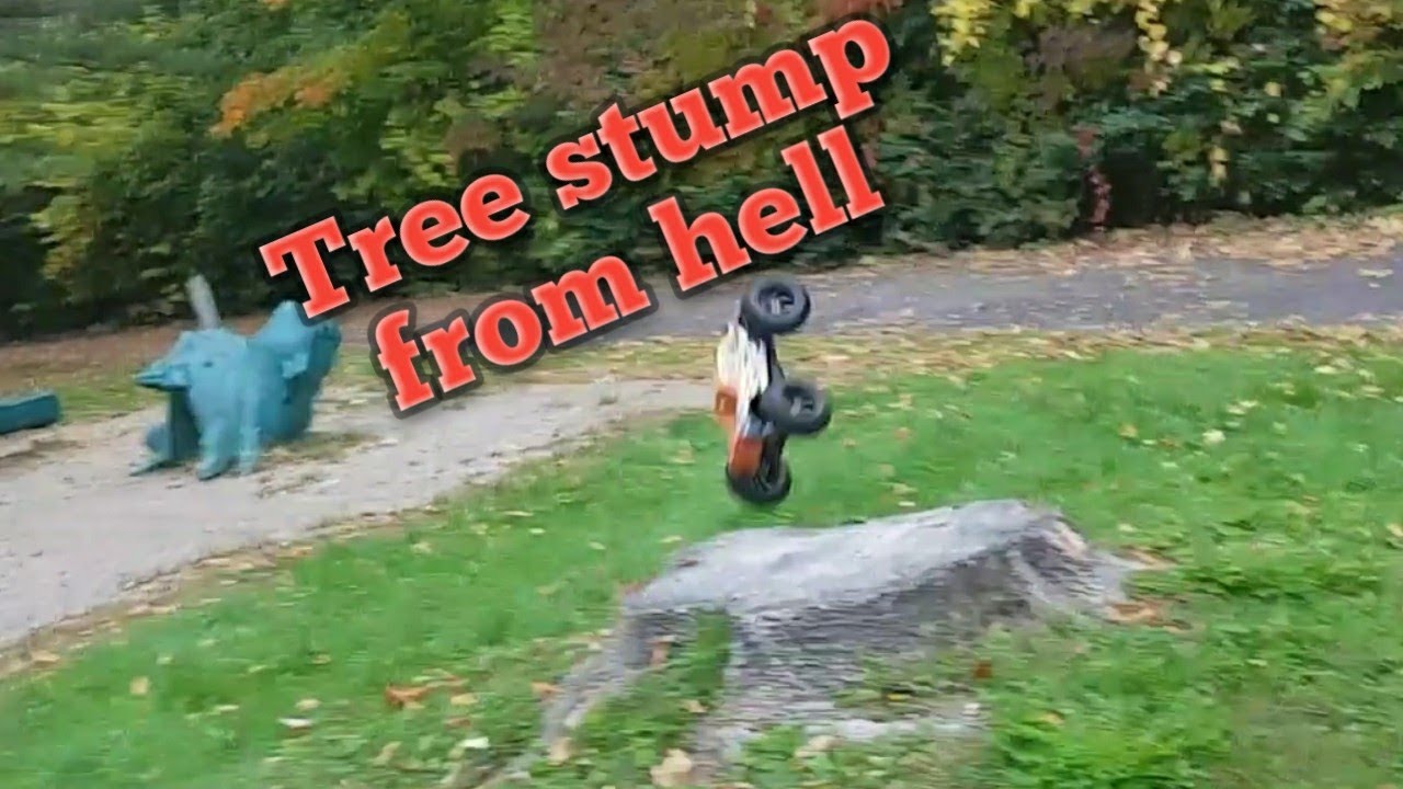 Rc monster truck bash: ZD Racing Pirates 2