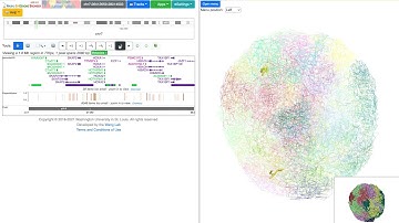 Part 1 - Basic Operations - 3D Visualization tutorial on WashU Epigenome Browser