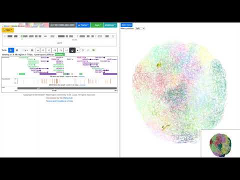 Part 1 - Basic Operations - 3D Visualization tutorial on WashU Epigenome Browser