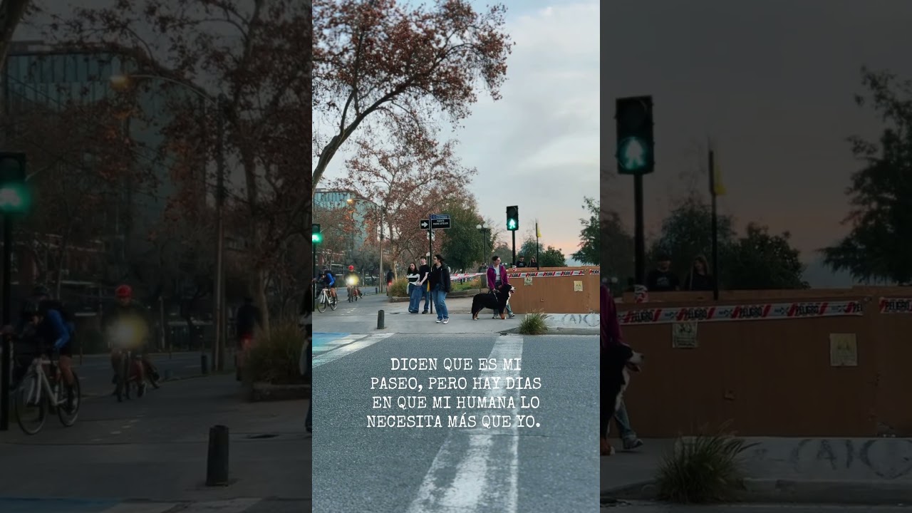 PASEAR JUNTAS HACE LA VIDA MEJOR ♥️ 