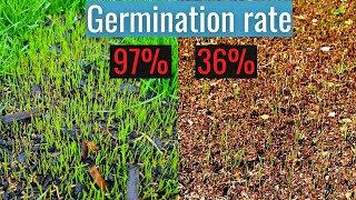 Factors affecting seed germination & How to check seed germination rate!