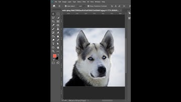 Best Photoshop Trick Clone Stamp | Photoshop Tutorial