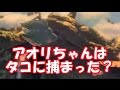 スプラトゥーン2　アオリちゃんはタコに捕まった？一体シオカラーズはどうなる？