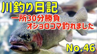 【北海道十勝の川釣り】オショロコマ釣れた【川釣り日記46】