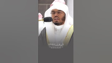 الَّذِينَ يَقُولُونَ رَبَّنَا إِنَّنَا آمَنَّا فَاغْفِرْ لَنَا ذُنُوبَنَا - القارئ ياسر الدوسري