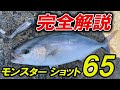 【初投入で爆釣】モンスターショット65を徹底インプレ!使い方のキモ・ヒットパターン・フックセッティング