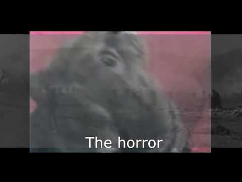 Vietnam Flashback Cat