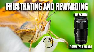 Frustrating and Rewarding   Trying Macro Photography with the OM System 90mm Macro Lens