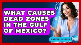 What Causes Dead Zones In The Gulf Of Mexico? - Water Science For Everyone