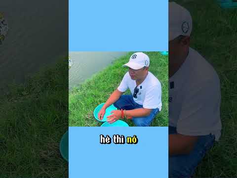 Cách câu cá cực đỉnh: Đừng bỏ qua mẹo này! (1/3) #fishing #caudat #travel