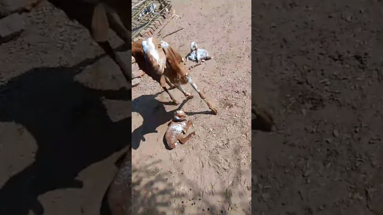 ‎WAR 2 | Official Teaser | Hrithik Roshan | NTR | Kiara Advani | Ayan Mukerji | YRF Spy Universe‎