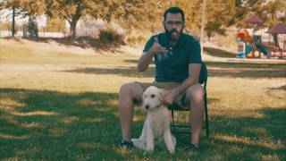Help Us Clear The Shelters!  Nation Wide Event This Weekend