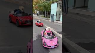 This Dog's Dream Of Driving A Luxury Car Came True