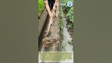 Clearing silt and weeds: ensuring smooth water flow in irrigation