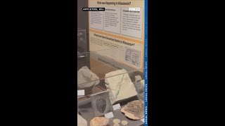 History Museum at the Castle in Appleton opens new exhibit from Weis Earth Science Museum collection