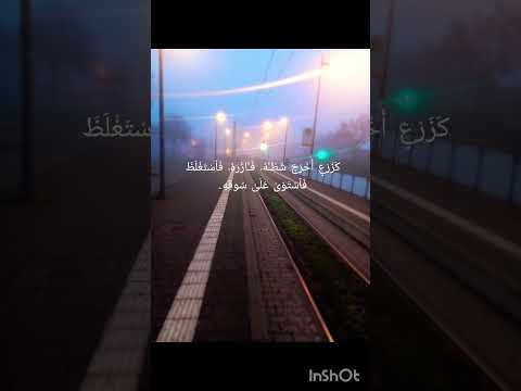 م ح م د ر س ول ٱلل ه و ٱل ذ ين م ع ه ۥ أ ش د آء سورة الكهف 