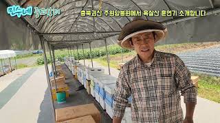 무더위에 간편하게 옥살산 연무처리 소개합니다 01076504888