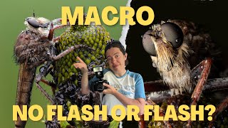 Flash or no flash for macro?