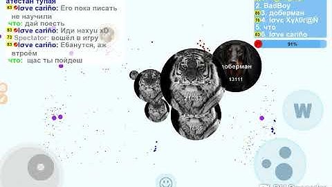 PLAY SOLO, MACRO HACK, ZOOM HACK. PETRIDISH.PW