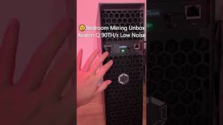 Blind Buy Recommendation: Avalon Q Home BTC Miner