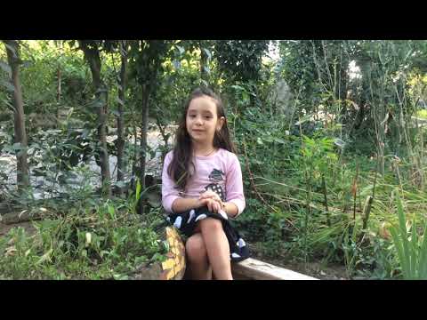 მორის ფოცხიშვილის”ჯიუტი ნანა\"