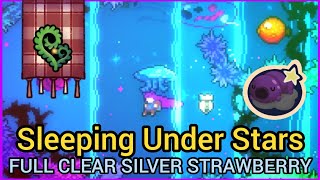 Sleeping Under Stars Full Clear Silver Strawberry | Strawberry Jam Intermediate Lobby | Celeste Mods