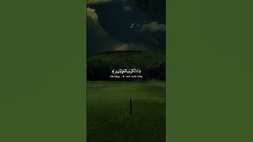 تلاوة خاشعة من سورة الشورى بصوت محمد اللحيدان #قران #أرح_نفسك4u #قران_كريم  #🤲🏻#راحة_نفسية_للقلب🤲📿💕