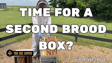 BEEKEEPING: When and How to Add a Second Brood Box