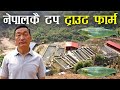 नेपालको एउटा टप ट्राउट फार्म - Rainbow trout farming in Nepal