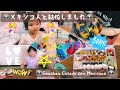 【Vlog】#13 Preparando UMEBOSHI+Candy BENTO con Nina+vida diaria 初めての梅干し作りに挑戦 Nina姫とお菓子パレット 日々の生活