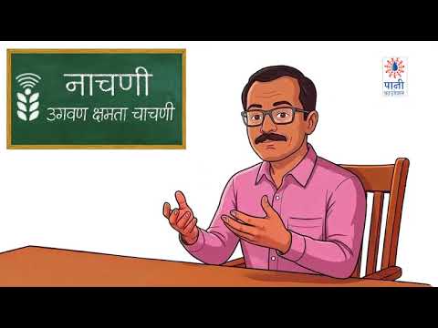 नाचणी उगवण क्षमता चाचणी