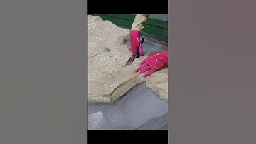 Amazing food! Seitan (Wheat Gluten) Mass Production Process. Taiwanese food #Shorts