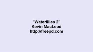 Kevin MacLeod ~ Waterlilies 2