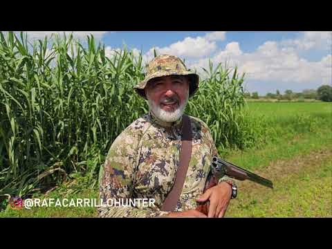 La movilización consigue parar la caza con arco de los jabalíes de  Valdemorillo