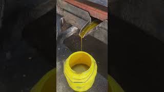 Canola oil  oil canola machine farming kheti mustard  original food sarso expeller car