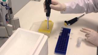 How to use EXO-Prep (reagent for exosome isolation)