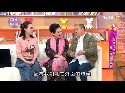 曾志偉、曾寶儀 少了你該怎麼辦？小燕有約 20170404 (完整版)